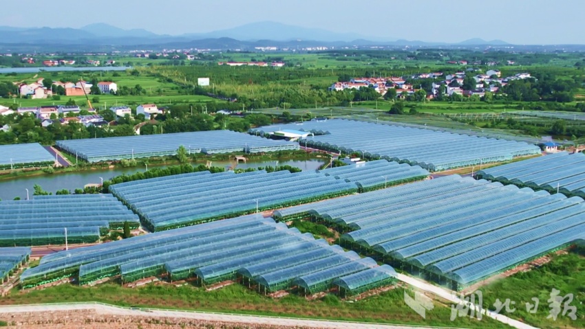 波音公司游戏下载